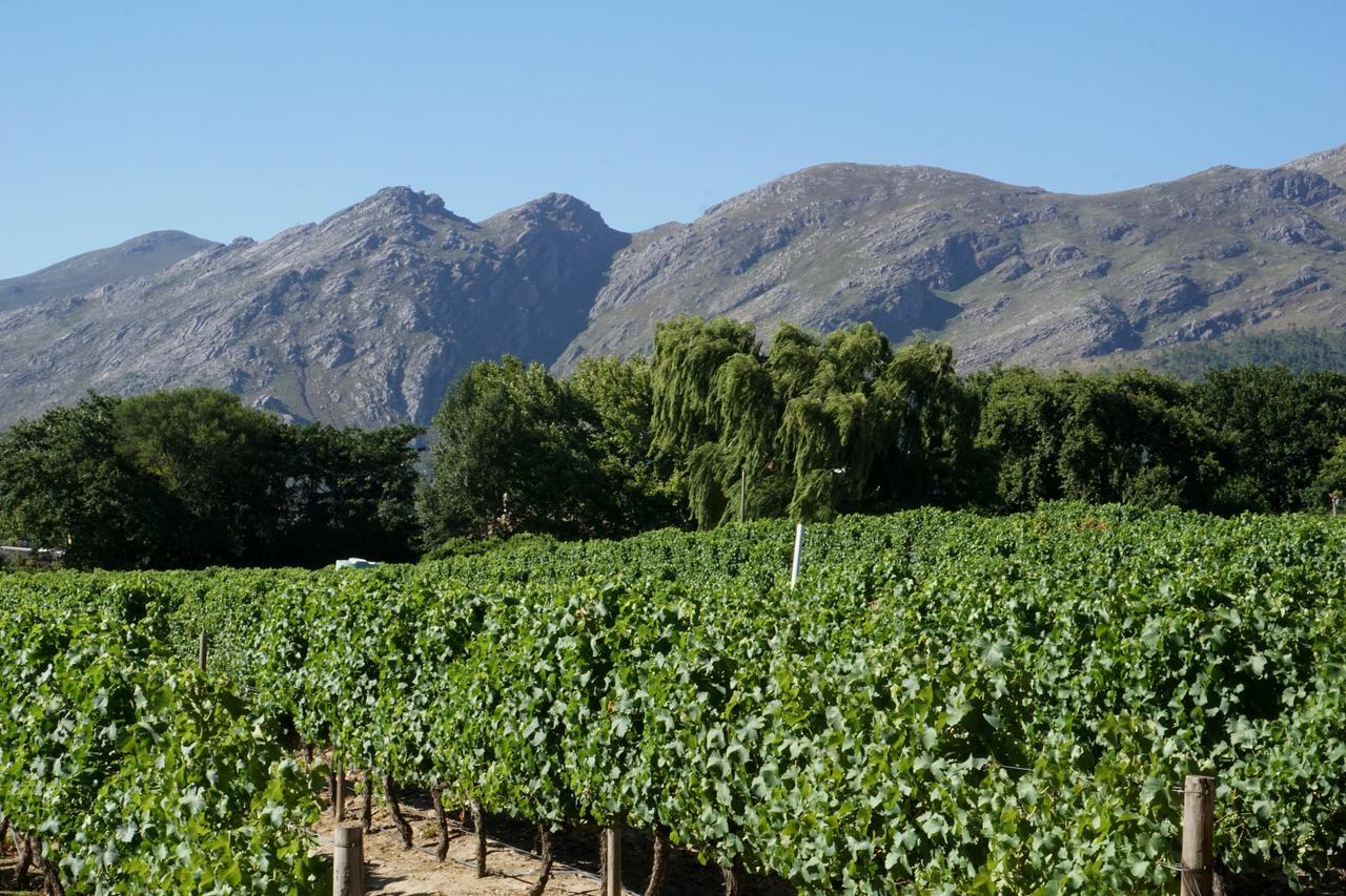 5 Pierre Jourdan Villa Franschhoek Kültér fotó